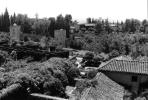 Alhambra, Granada. june 1999. Rolleiflex SL35 + Distagon 35mm (?), Ilford Delta 100. Gardens 'n' stuff...