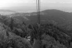 Schauinsland, black forest, september 1999, Rolleiflex SL35 + Planar 50mm, Ilford FP4. This was taken on the cableway up to the Schauinsland mountains, with Freiburg visible in the mist to the left of the cable. It was an overcast day and no filter would have really helped here. The foliage rendered way too dark, and I turned to split contrast printing once again. The resulting print is rich in tone, yet literally conveys the drabness of the scene as I remember it.