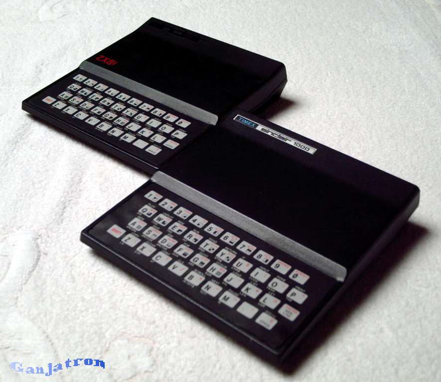 ZX81 and T/S-1000