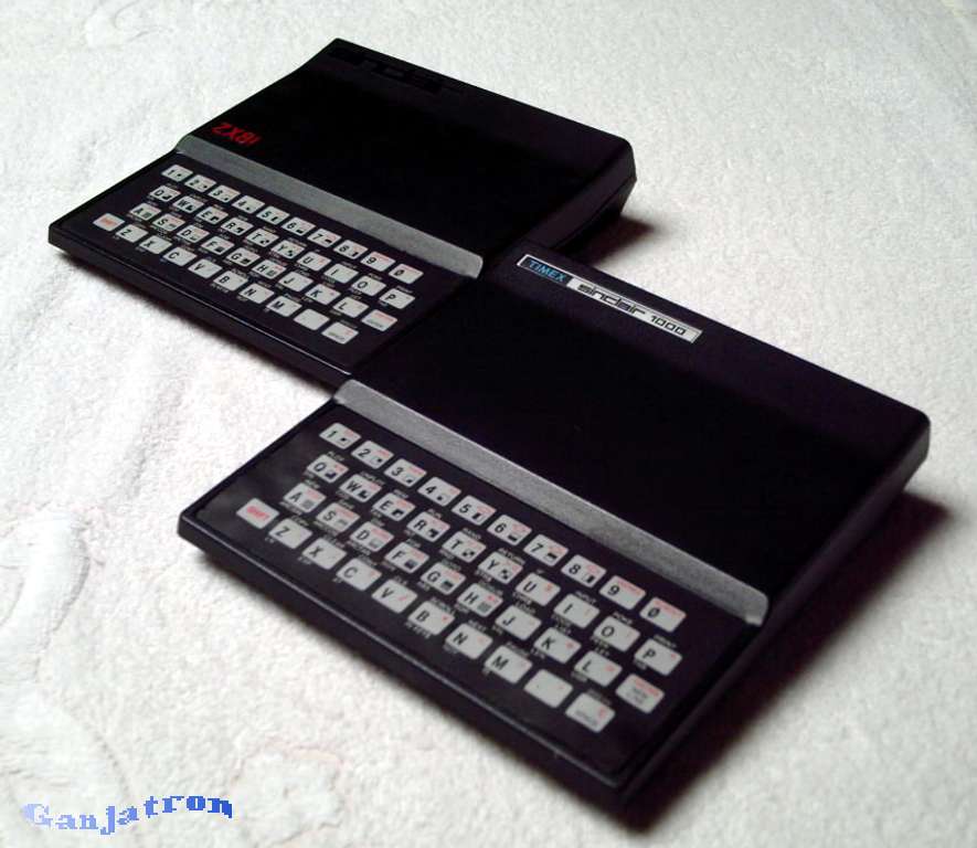 Sinclair ZX81 & Timex/Sinclair-1000